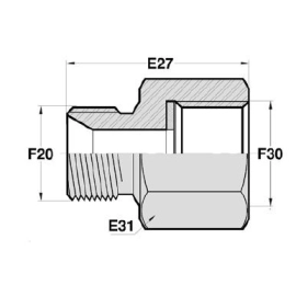 MDCT - FDIN  Adapteur Droit Mâle Métrique DIN x Femelle DIN MÉTRIQU